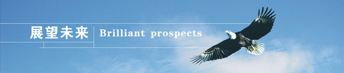 公司簡(jiǎn)介12.png